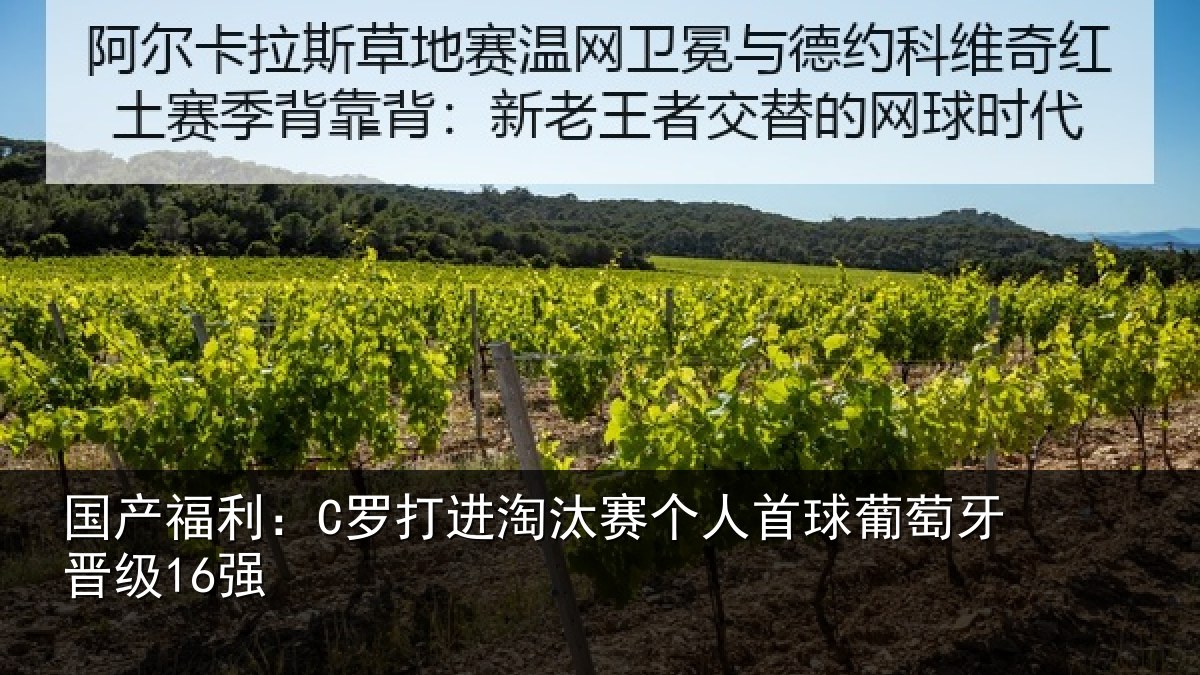 国产福利：C罗打进淘汰赛个人首球葡萄牙晋级16强