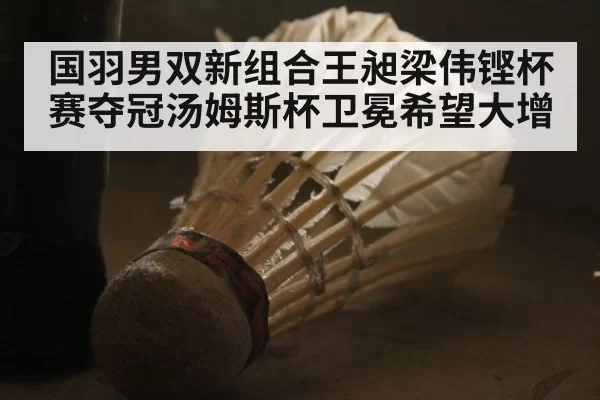 国羽男双新组合王昶梁伟铿杯赛夺冠汤姆斯杯卫冕希望大增