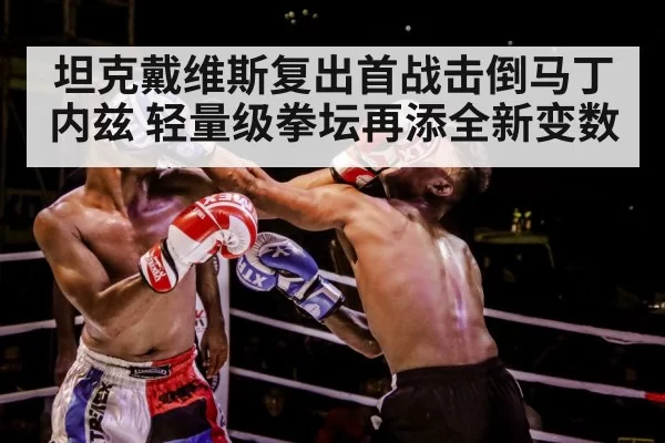boxer training gloves