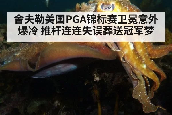 舍夫勒美国PGA锦标赛卫冕意外爆冷 推杆连连失误葬送冠军梦